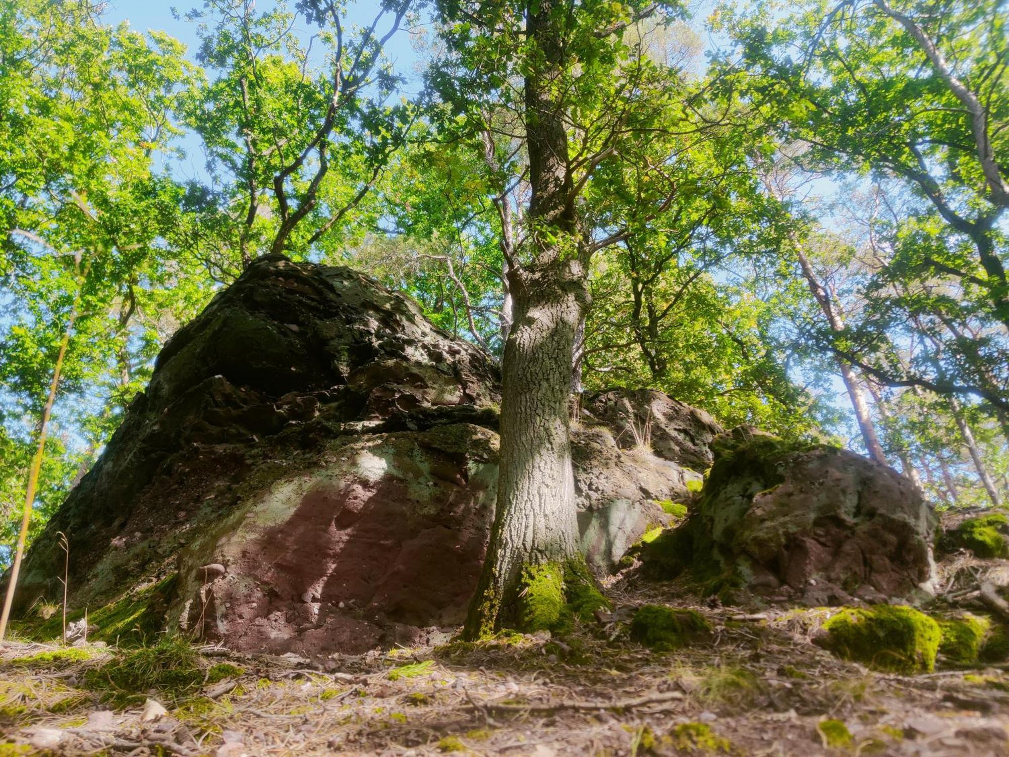 Gemuetliches Bauernhaus Am Nationalpark Eifel Heimbach Exteriör bild